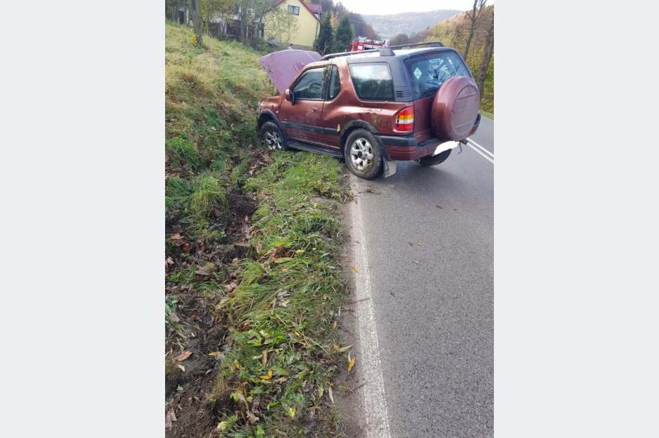 Kierująca doprowadziła do wywrócenia pojazdu - zdjęcie 2
