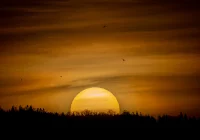 IMGW: rekordowo ciepły Dzień Wszystkich Świętych; cały długi weekend również letni - zdjęcie główne