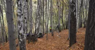 Wspólne ćwiczenia GOPR i OSP - zdjęcie 3
