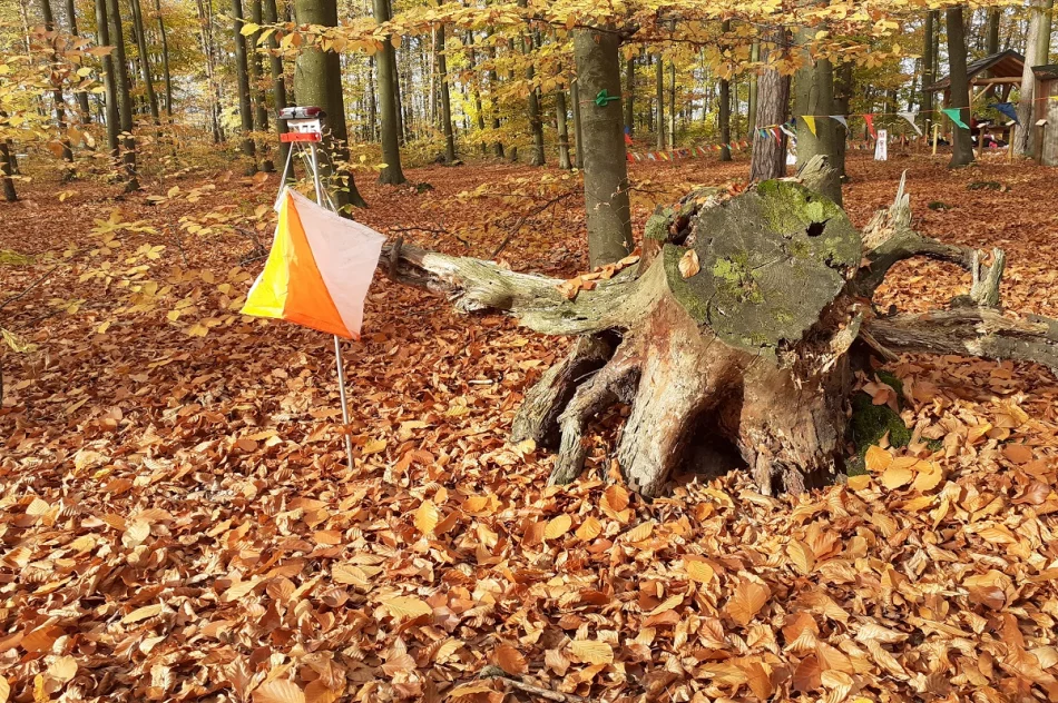 „Patria” Młynne na finałowym Pucharze Podkarpacia - zdjęcie 12