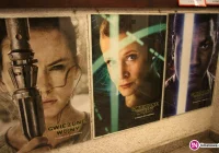 Moc się przebudziła – za nami specjalny pokaz premierowy „Gwiezdnych Wojen Części VII' - zdjęcie główne