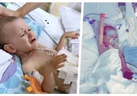 Daj Maksiowi szansę na życie! - zdjęcie główne