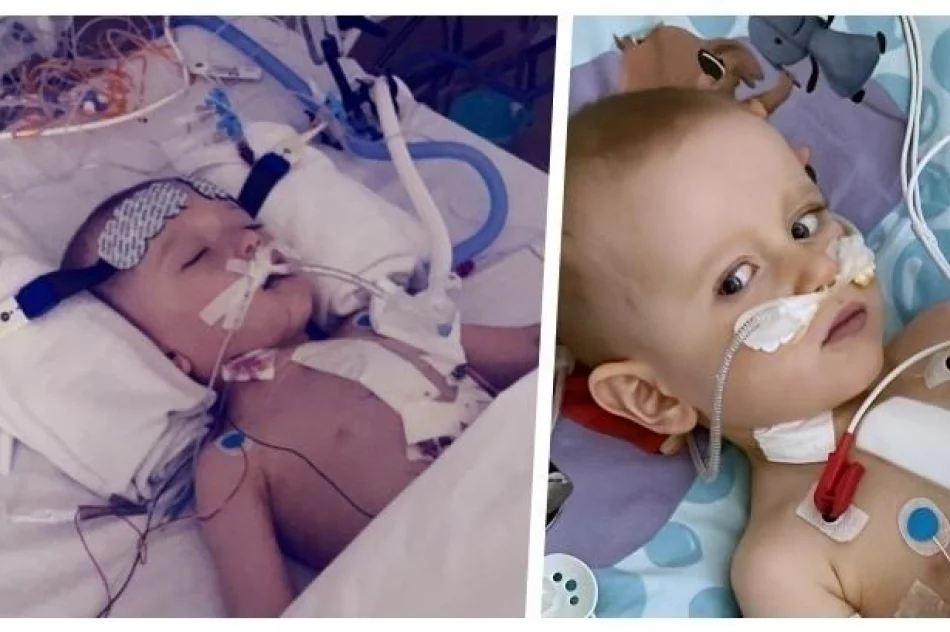 Daj Maksiowi szansę na życie! - zdjęcie 2