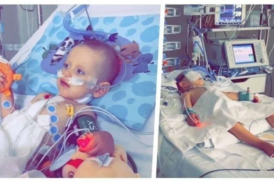 Daj Maksiowi szansę na życie! - zdjęcie 3