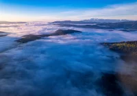 Ustalono program akcji na przyszły rok - zdjęcie główne