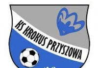 Pierwsza połowa wstrząsnęła Krokusem - zdjęcie główne