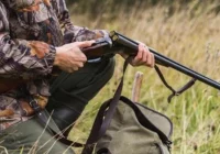 Terminarz polowań zbiorowych - zdjęcie główne