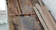 W pożarze stracili dom, zbierają materiały - zdjęcie 5