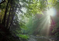 Zmiany w GPN obejmują szlaki i ceny biletów - zdjęcie główne