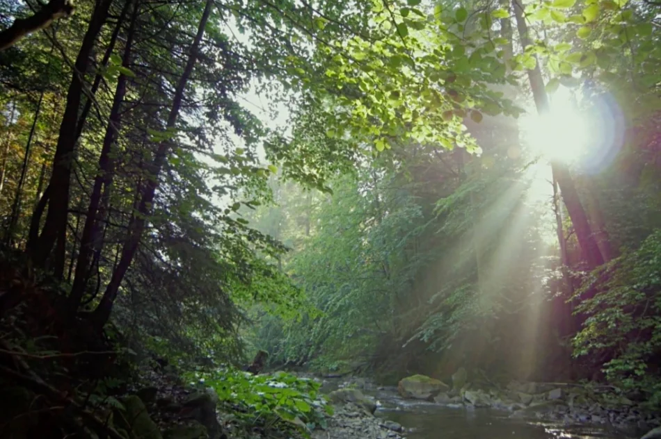 Poznaj gorczańską przyrodę - zdjęcie 6