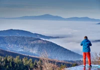 Prognozują gęste mgły - zdjęcie główne