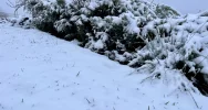 Pierwszy śnieg. Trudna "akcja zima", problemem... sól - zdjęcie 2