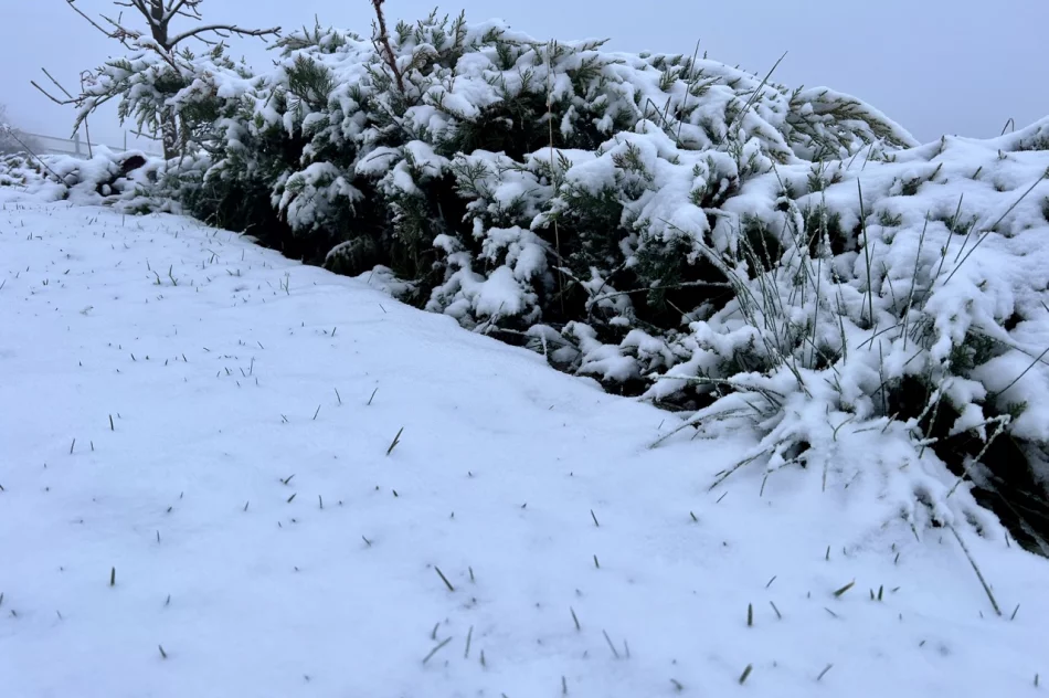 Pierwszy śnieg. Trudna "akcja zima", problemem... sól - zdjęcie 2