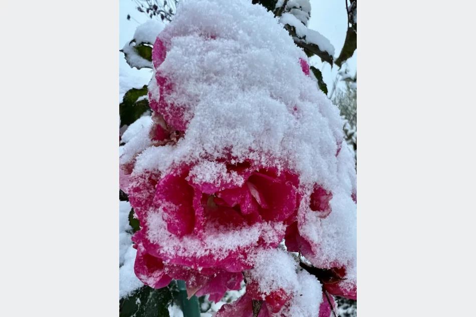 Pierwszy śnieg. Trudna "akcja zima", problemem... sól - zdjęcie 3