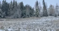 Pierwszy śnieg. Trudna "akcja zima", problemem... sól - zdjęcie 4