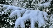 Pierwszy śnieg. Trudna "akcja zima", problemem... sól - zdjęcie 5