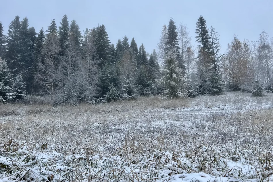 IMGW: atak zimy, śnieg i mróz, nawet do minus 10 stopni - zdjęcie 4