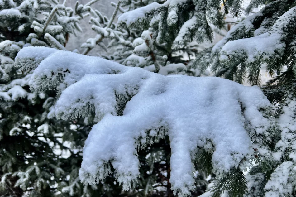 IMGW: atak zimy, śnieg i mróz, nawet do minus 10 stopni - zdjęcie 5