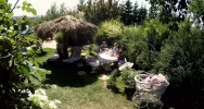 Limanowianie pokażą swój ogród w telewizji - zdjęcie 4