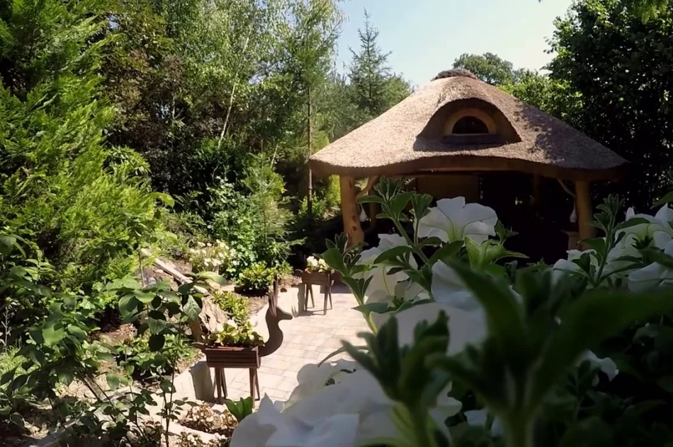 Limanowianie pokażą swój ogród w telewizji - zdjęcie 14