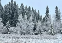 Synoptyczna prognoza pogody weekend i kolejne dni - zdjęcie główne