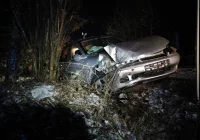 Samochód wypadł z oblodzonej jezdni i uderzył w drzewo - zdjęcie główne