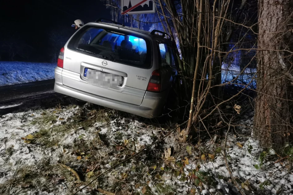 Samochód wypadł z oblodzonej jezdni i uderzył w drzewo - zdjęcie 2
