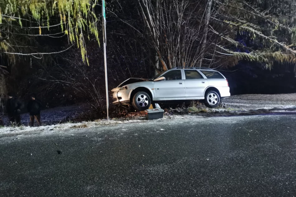 Samochód wypadł z oblodzonej jezdni i uderzył w drzewo - zdjęcie 5