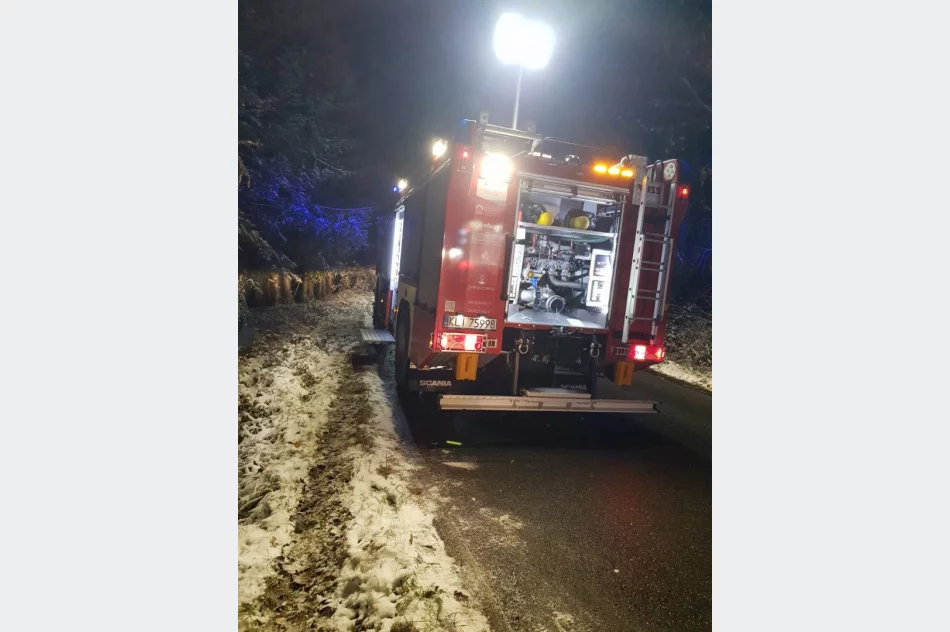 Samochód wypadł z oblodzonej jezdni i uderzył w drzewo - zdjęcie 7
