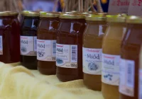 Czy miód jest zdrowy? - zdjęcie główne