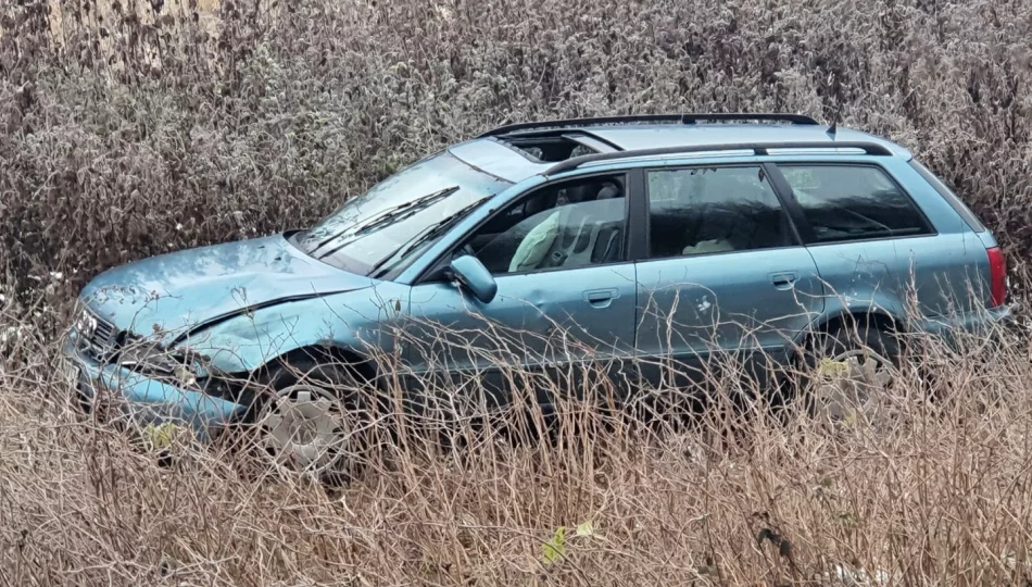 Samochód wypadł z drogi - zdjęcie 1