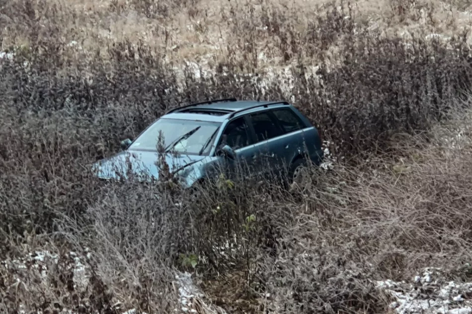 Samochód wypadł z drogi - zdjęcie 4