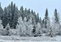 Najpierw marznące opady, nocą nawet 15 cm śniegu - zdjęcie główne