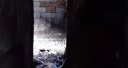Małżeństwo z małym dzieckiem musi odbudować dom - zdjęcie 3