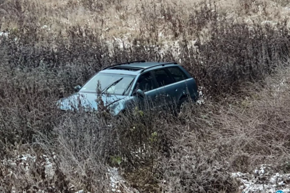 Mandat dla kierującej Audi - zdjęcie 3