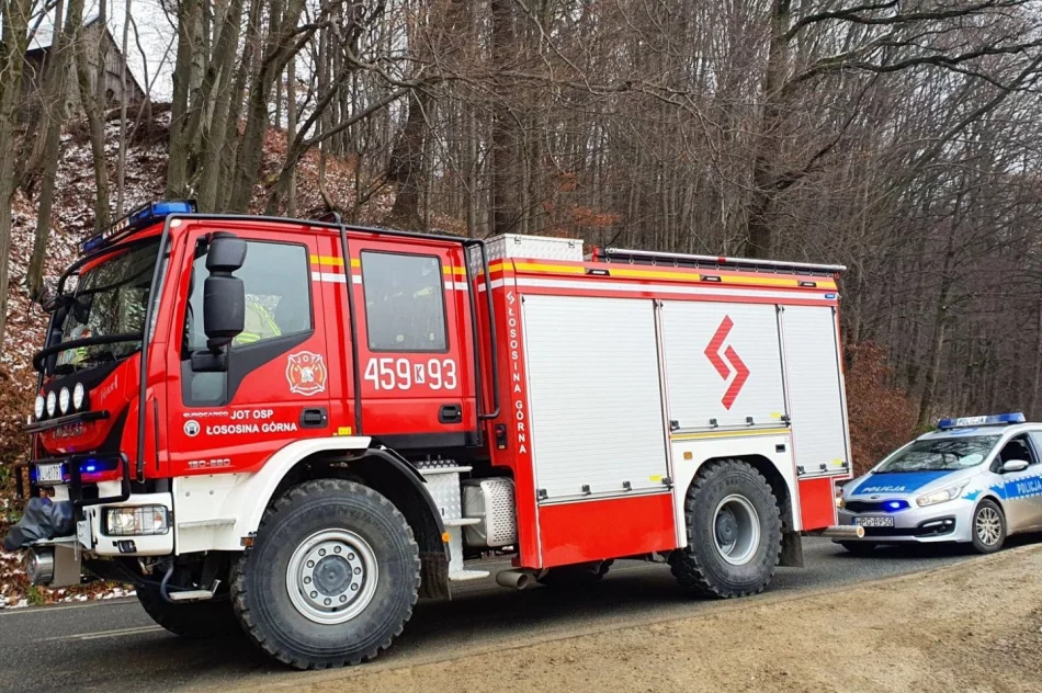 Mandat dla kierującej Audi - zdjęcie 4