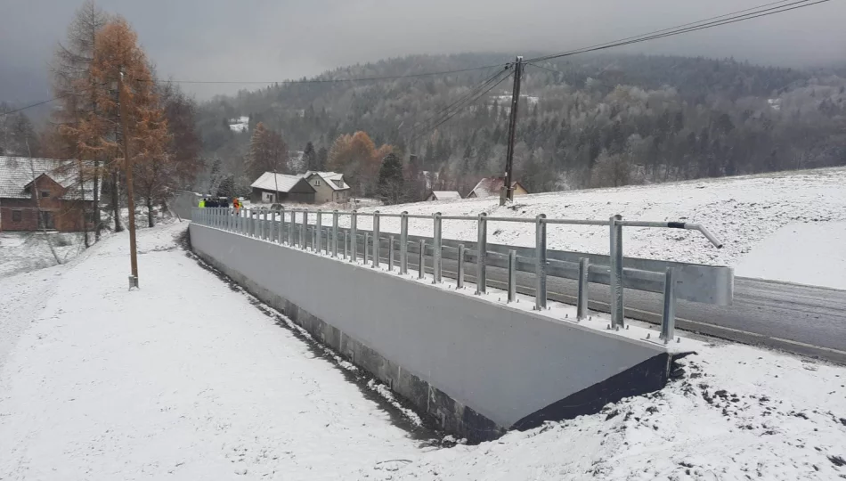 Stabilizacja osuwiska i odbudowa drogi - zdjęcie 1