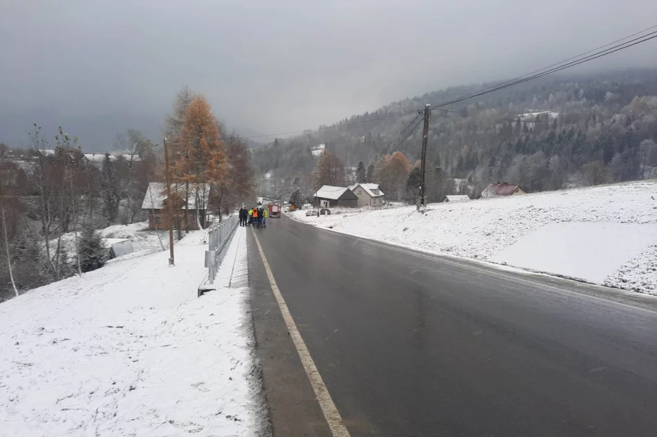 Stabilizacja osuwiska i odbudowa drogi - zdjęcie 3