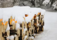 Prace leśne w pobliżu szlaku - zdjęcie główne