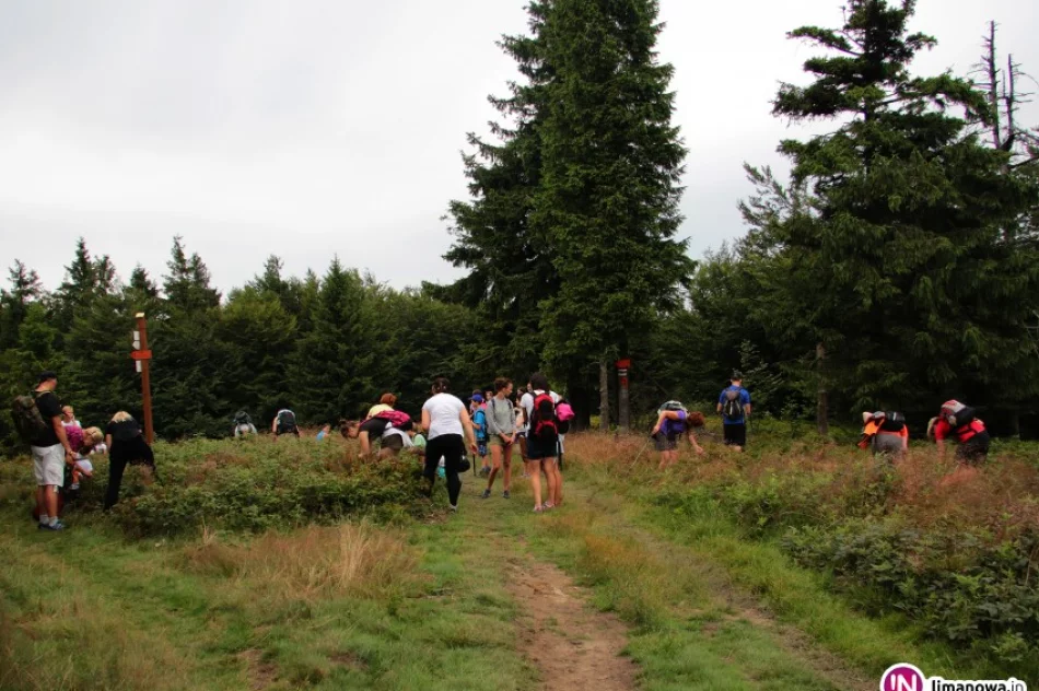 Sprawozdanie z wycieczki w pasmo Jaworzyny Krynickiej. - zdjęcie 2