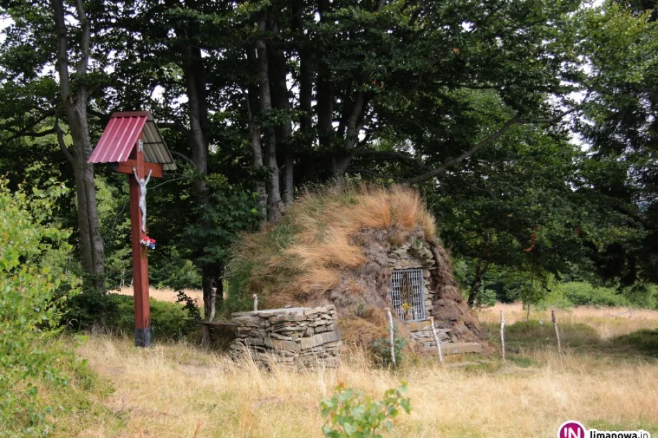 Sprawozdanie z wycieczki w pasmo Jaworzyny Krynickiej. - zdjęcie 4