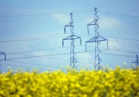 Tańszy prąd - mija termin składania oświadczeń - zdjęcie główne