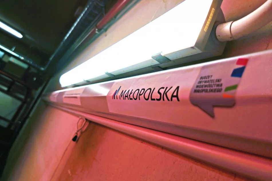 Druhowie zakończyli i podsumowali projekt - zdjęcie 6