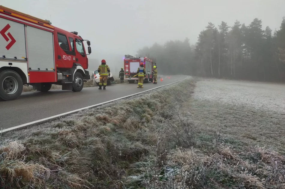 Dachowanie samochodu, kierująca pouczona - zdjęcie 2