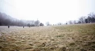 Pętla taktyczna, czyli wojskowe zimowe wyzwanie na szczycie Łysej Góry - zdjęcie 4