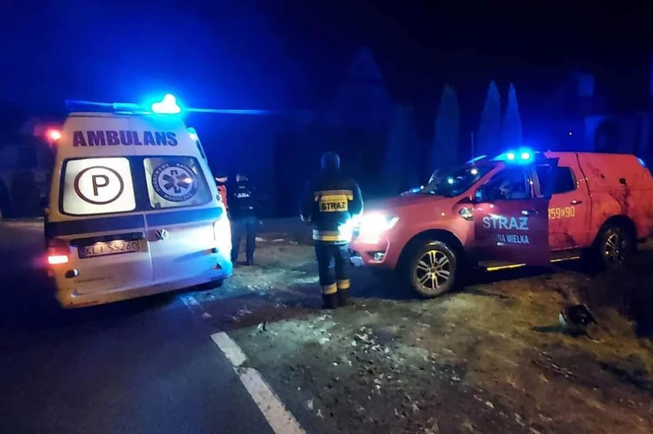 "Wychłodzonego mężczyznę w pozycji embrionalnej" strażacy wywieźli z lasu - zdjęcie 2