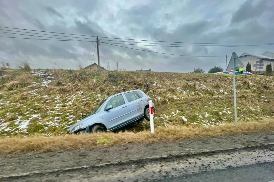 Samochód wypadł z drogi, kierowca nietrzeźwy  - zdjęcie 2