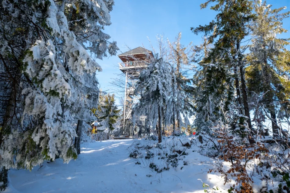 Będzie kamera na Mogielicy? - zdjęcie 2