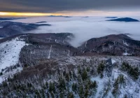 Prognoza synoptyczna na 8 tydzień roku - wróci zima? - zdjęcie główne