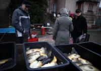 81 proc. Polaków zamierza ograniczyć wydatki na świąteczne zakupy spożywcze - zdjęcie główne